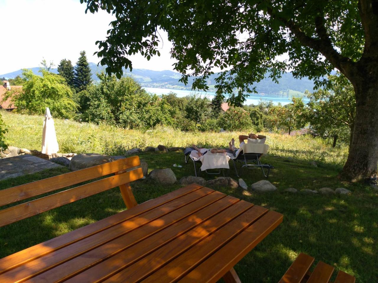 Attersee Gartenvilla Nussdorf am Attersee Dış mekan fotoğraf